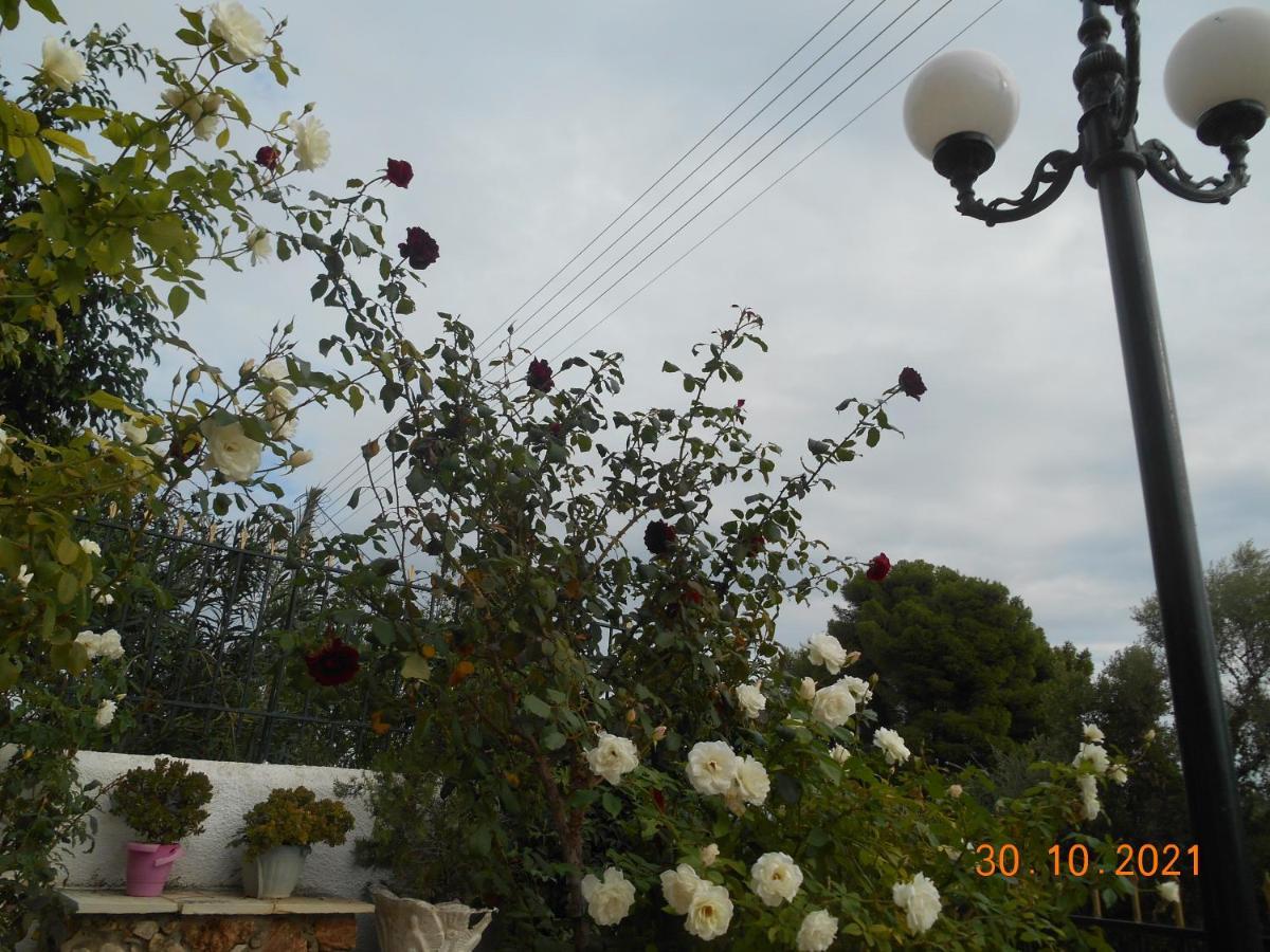 Melios Rooms Petalídhion المظهر الخارجي الصورة