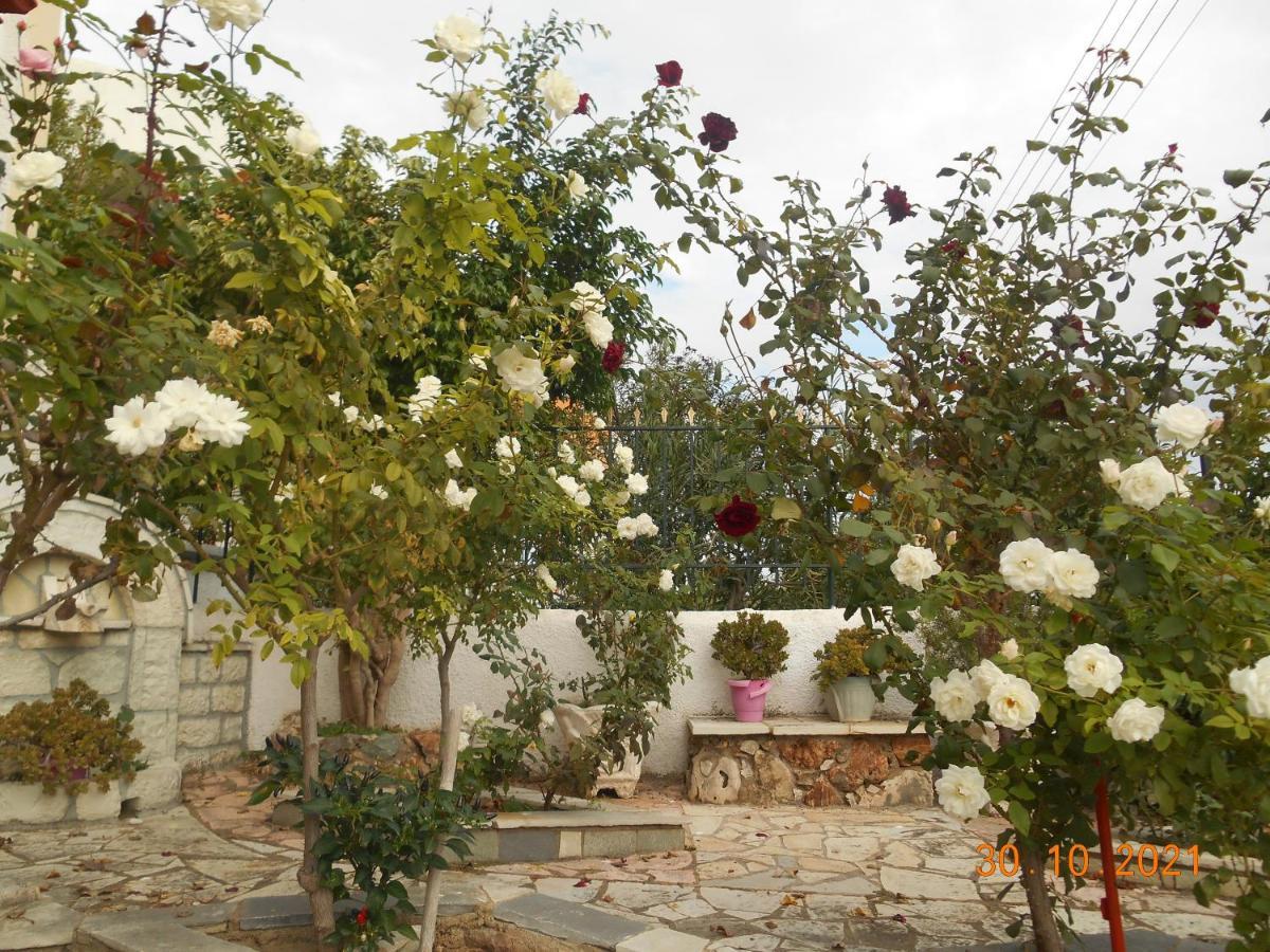 Melios Rooms Petalídhion المظهر الخارجي الصورة